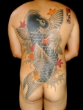 一匹鯉｜刺青｜大阪タトゥー ｜ osaka | tattoo | traditionaltattoo | tebori